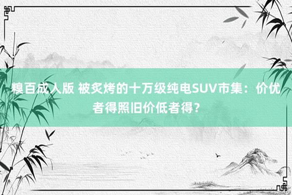 糗百成人版 被炙烤的十万级纯电SUV市集：价优者得照旧价低者得？
