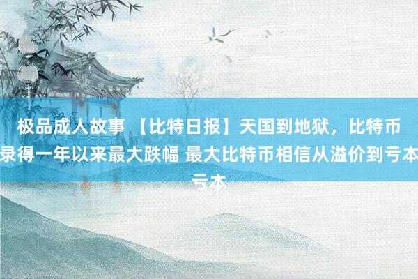 极品成人故事 【比特日报】天国到地狱，比特币录得一年以来最大跌幅 最大比特币相信从溢价到亏本