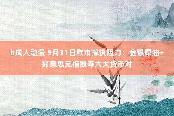 h成人动漫 9月11日欧市撑执阻力：金银原油+好意思元指数等六大货币对