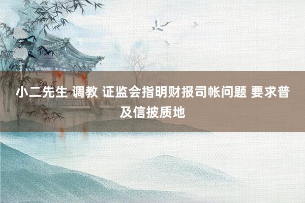 小二先生 调教 证监会指明财报司帐问题 要求普及信披质地