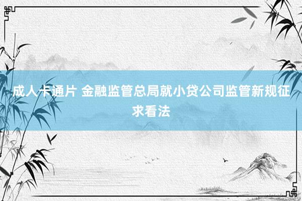 成人卡通片 金融监管总局就小贷公司监管新规征求看法
