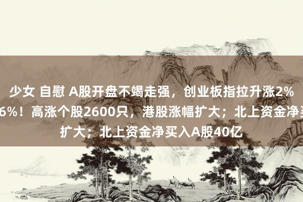 少女 自慰 A股开盘不竭走强，创业板指拉升涨2%，沪指涨0.36%！高涨个股2600只，港股涨幅扩大；北上资金净买入A股40亿