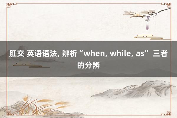 肛交 英语语法， 辨析“when， while， as” 三者的分辨