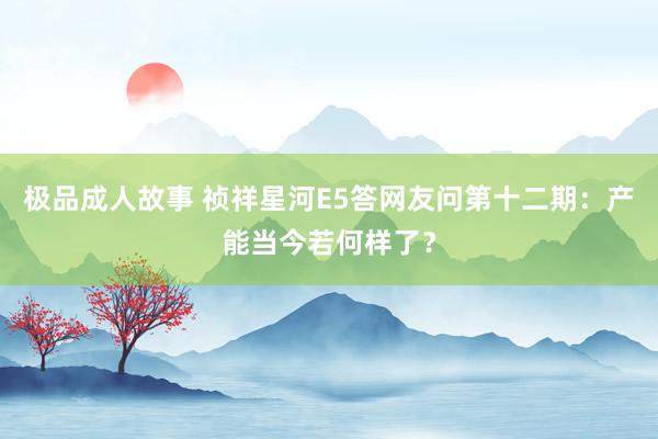 极品成人故事 祯祥星河E5答网友问第十二期：产能当今若何样了？