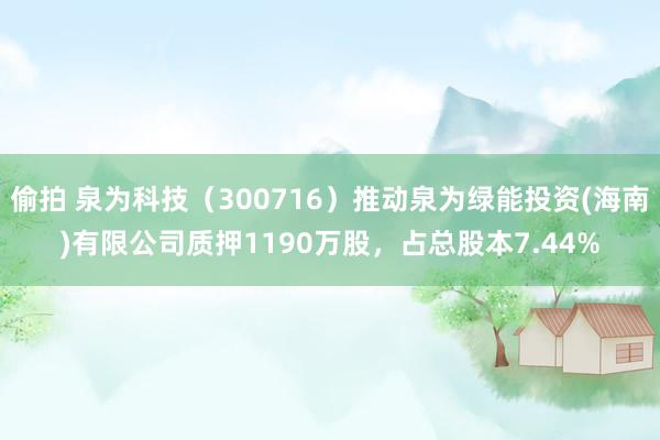 偷拍 泉为科技（300716）推动泉为绿能投资(海南)有限公司质押1190万股，占总股本7.44%