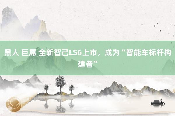 黑人 巨屌 全新智己LS6上市，成为“智能车标杆构建者”