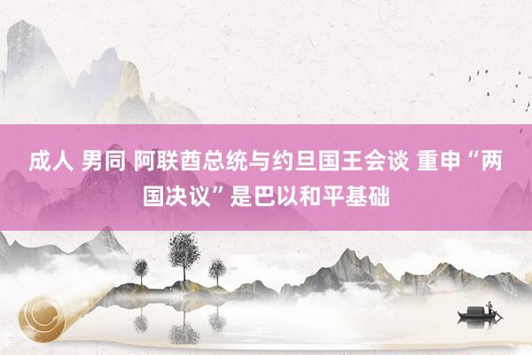 成人 男同 阿联酋总统与约旦国王会谈 重申“两国决议”是巴以和平基础