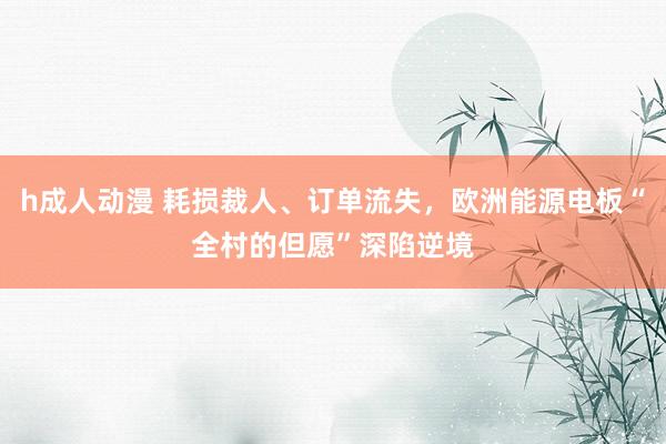 h成人动漫 耗损裁人、订单流失，欧洲能源电板“全村的但愿”深陷逆境