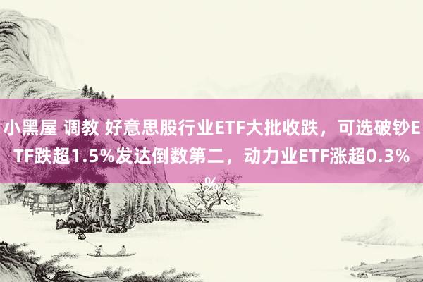 小黑屋 调教 好意思股行业ETF大批收跌，可选破钞ETF跌超1.5%发达倒数第二，动力业ETF涨超0.3%