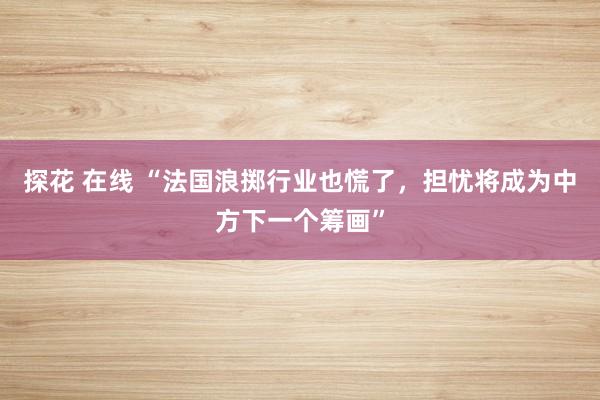 探花 在线 “法国浪掷行业也慌了，担忧将成为中方下一个筹画”
