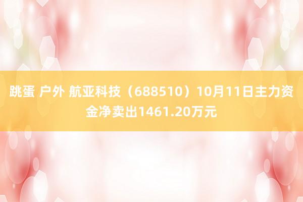 跳蛋 户外 航亚科技（688510）10月11日主力资金净卖出1461.20万元