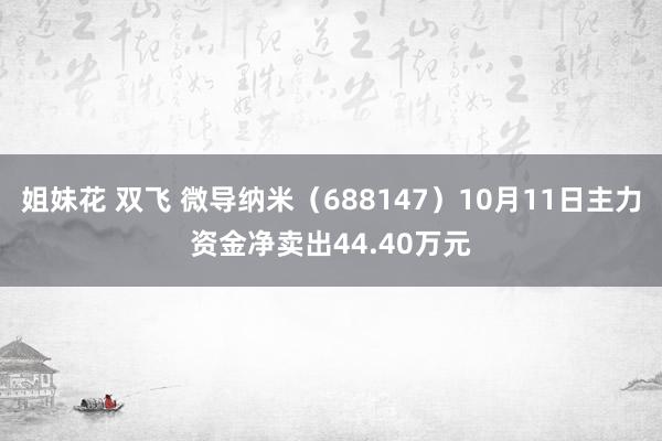 姐妹花 双飞 微导纳米（688147）10月11日主力资金净卖出44.40万元