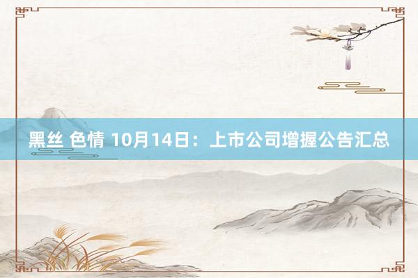 黑丝 色情 10月14日：上市公司增握公告汇总