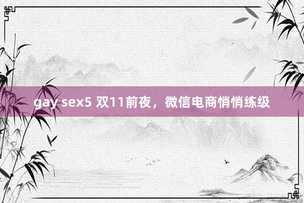 gay sex5 双11前夜，微信电商悄悄练级