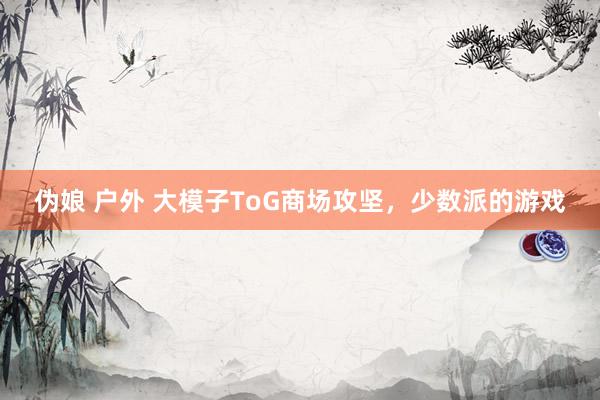 伪娘 户外 大模子ToG商场攻坚，少数派的游戏