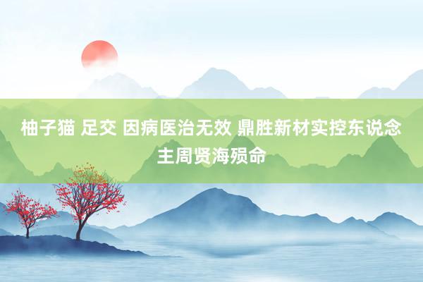 柚子猫 足交 因病医治无效 鼎胜新材实控东说念主周贤海殒命