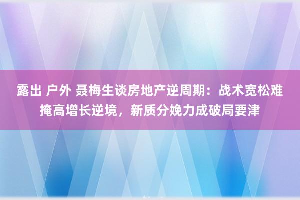 露出 户外 聂梅生谈房地产逆周期：战术宽松难掩高增长逆境，新质分娩力成破局要津
