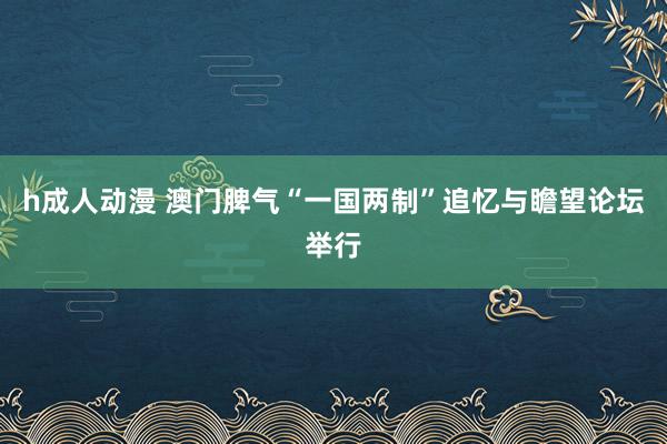 h成人动漫 澳门脾气“一国两制”追忆与瞻望论坛举行