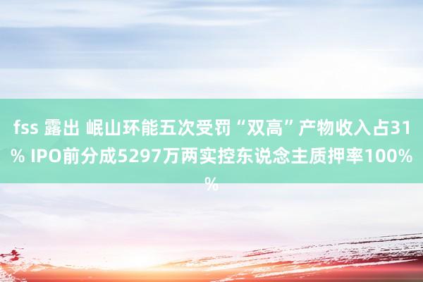 fss 露出 岷山环能五次受罚“双高”产物收入占31% IPO前分成5297万两实控东说念主质押率100%