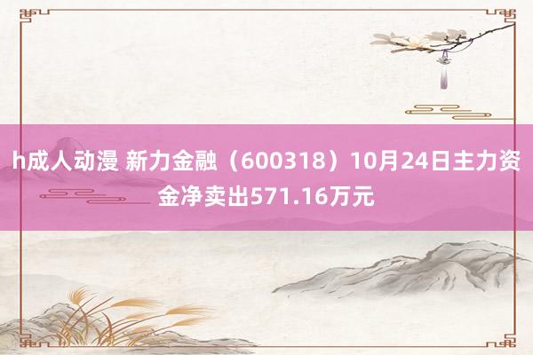 h成人动漫 新力金融（600318）10月24日主力资金净卖出571.16万元