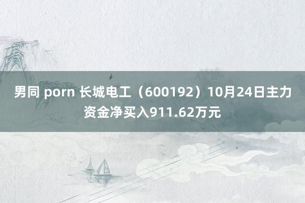 男同 porn 长城电工（600192）10月24日主力资金净买入911.62万元