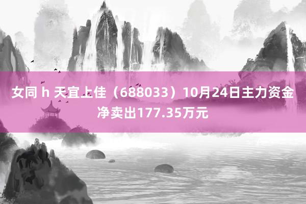女同 h 天宜上佳（688033）10月24日主力资金净卖出177.35万元