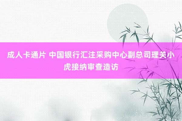 成人卡通片 中国银行汇注采购中心副总司理关小虎接纳审查造访
