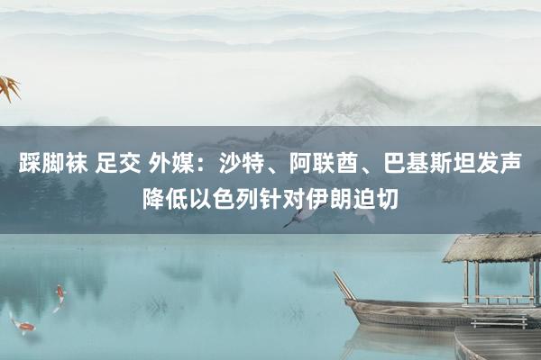 踩脚袜 足交 外媒：沙特、阿联酋、巴基斯坦发声降低以色列针对伊朗迫切
