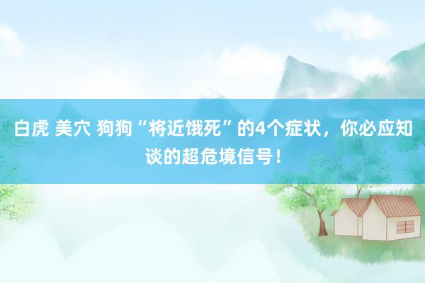 白虎 美穴 狗狗“将近饿死”的4个症状，你必应知谈的超危境信号！