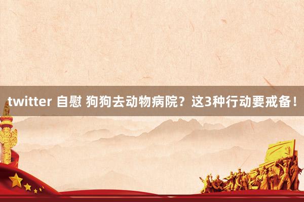 twitter 自慰 狗狗去动物病院？这3种行动要戒备！
