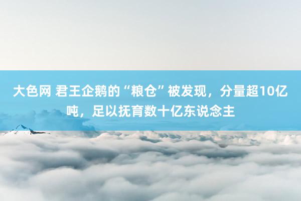 大色网 君王企鹅的“粮仓”被发现，分量超10亿吨，足以抚育数十亿东说念主