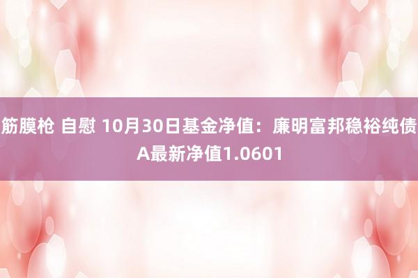 筋膜枪 自慰 10月30日基金净值：廉明富邦稳裕纯债A最新净值1.0601