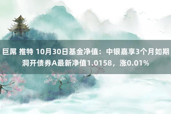 巨屌 推特 10月30日基金净值：中银嘉享3个月如期洞开债券A最新净值1.0158，涨0.01%