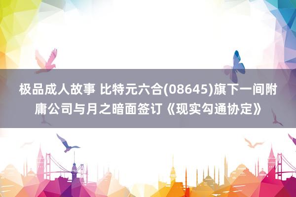 极品成人故事 比特元六合(08645)旗下一间附庸公司与月之暗面签订《现实勾通协定》