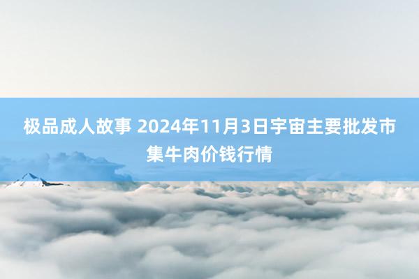极品成人故事 2024年11月3日宇宙主要批发市集牛肉价钱行情