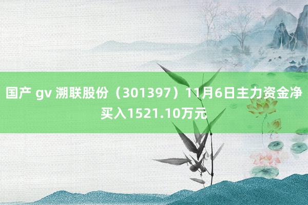 国产 gv 溯联股份（301397）11月6日主力资金净买入1521.10万元