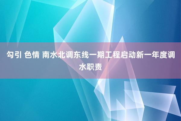 勾引 色情 南水北调东线一期工程启动新一年度调水职责