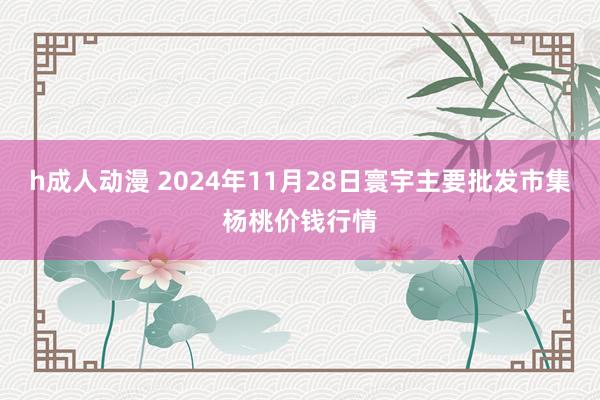 h成人动漫 2024年11月28日寰宇主要批发市集杨桃价钱行情