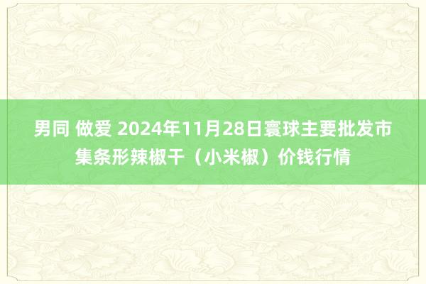 男同 做爱 2024年11月28日寰球主要批发市集条形辣椒干（小米椒）价钱行情