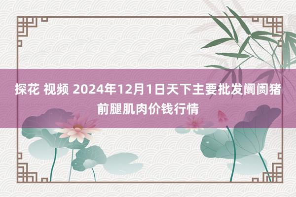 探花 视频 2024年12月1日天下主要批发阛阓猪前腿肌肉价钱行情