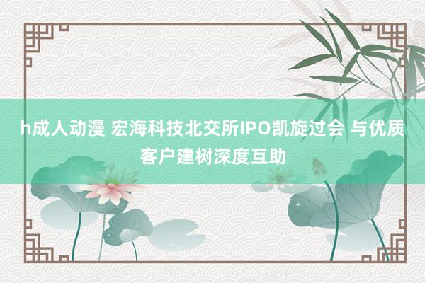 h成人动漫 宏海科技北交所IPO凯旋过会 与优质客户建树深度互助