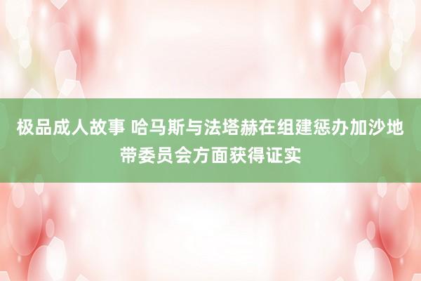 极品成人故事 哈马斯与法塔赫在组建惩办加沙地带委员会方面获得证实