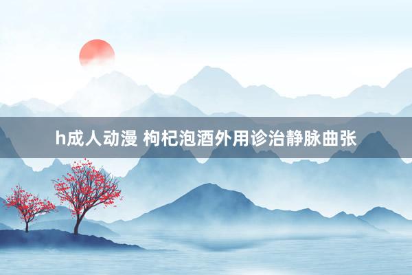 h成人动漫 枸杞泡酒外用诊治静脉曲张