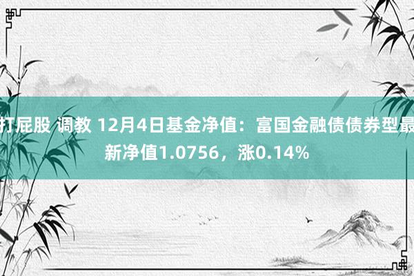 打屁股 调教 12月4日基金净值：富国金融债债券型最新净值1.0756，涨0.14%
