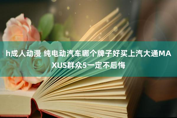 h成人动漫 纯电动汽车哪个牌子好买上汽大通MAXUS群众5一定不后悔