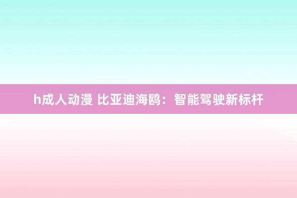 h成人动漫 比亚迪海鸥：智能驾驶新标杆