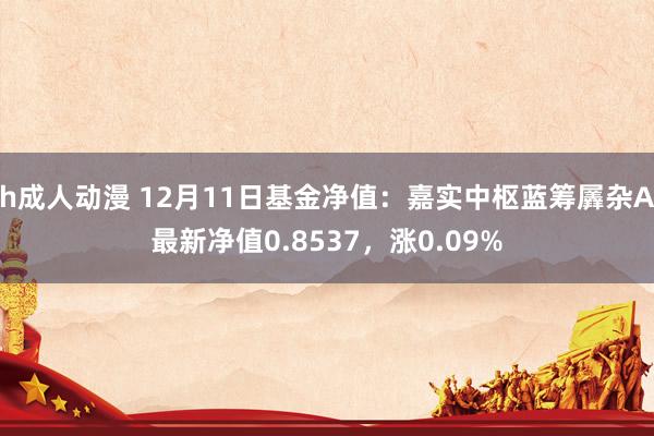 h成人动漫 12月11日基金净值：嘉实中枢蓝筹羼杂A最新净值0.8537，涨0.09%