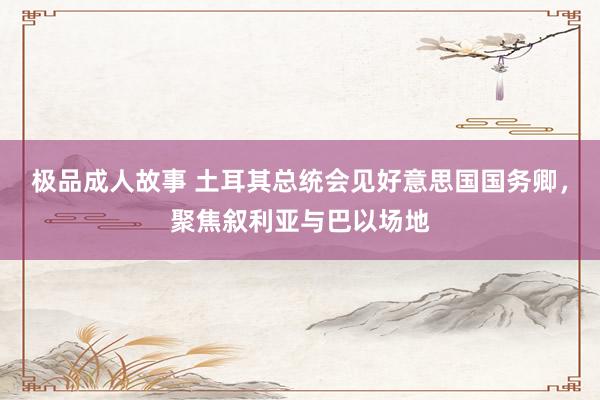 极品成人故事 土耳其总统会见好意思国国务卿，聚焦叙利亚与巴以场地
