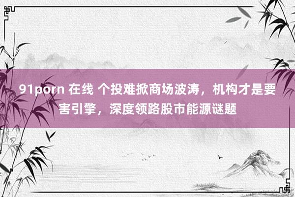 91porn 在线 个投难掀商场波涛，机构才是要害引擎，深度领路股市能源谜题