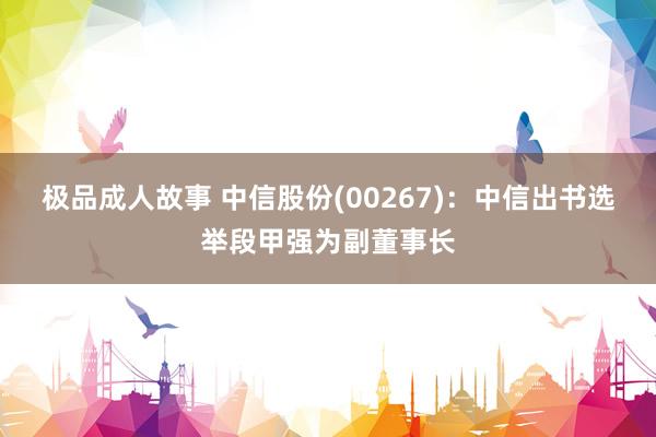 极品成人故事 中信股份(00267)：中信出书选举段甲强为副董事长